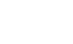 Logo blanc VDN